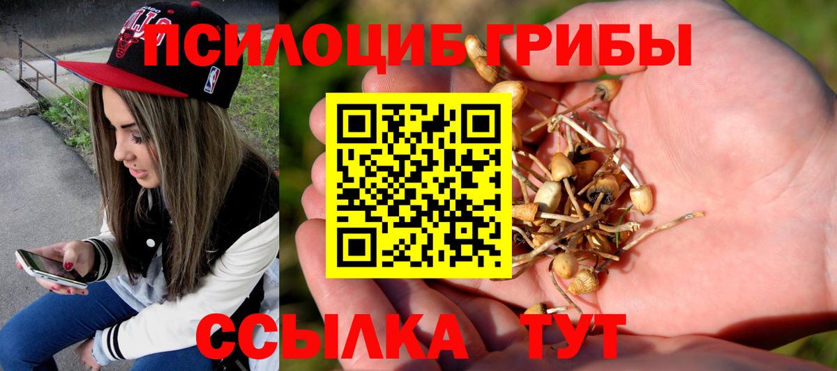 Галлюциногенные грибы GOLDEN TEACHER Дивногорск